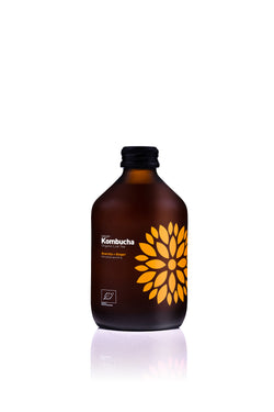 Kombucha Bio Acerola + Ginger, 330ml